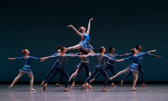 Roy Bhadoriya choreographer